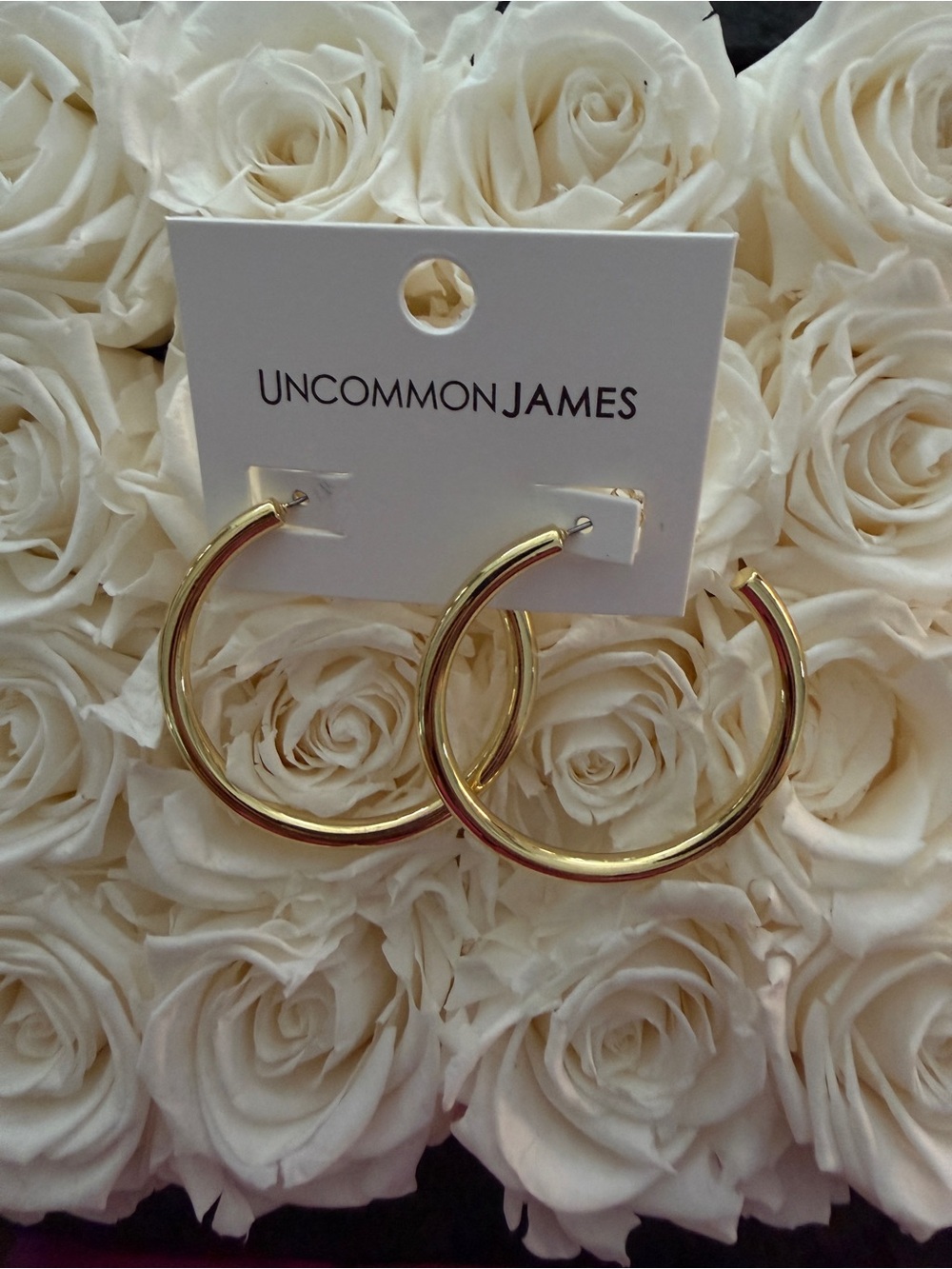 Uncommon James Classic Thick Large Earrings